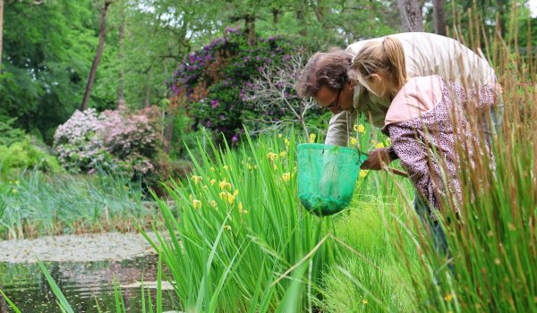Waterdiertjes vangen