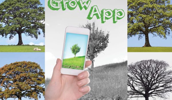 banner grow app